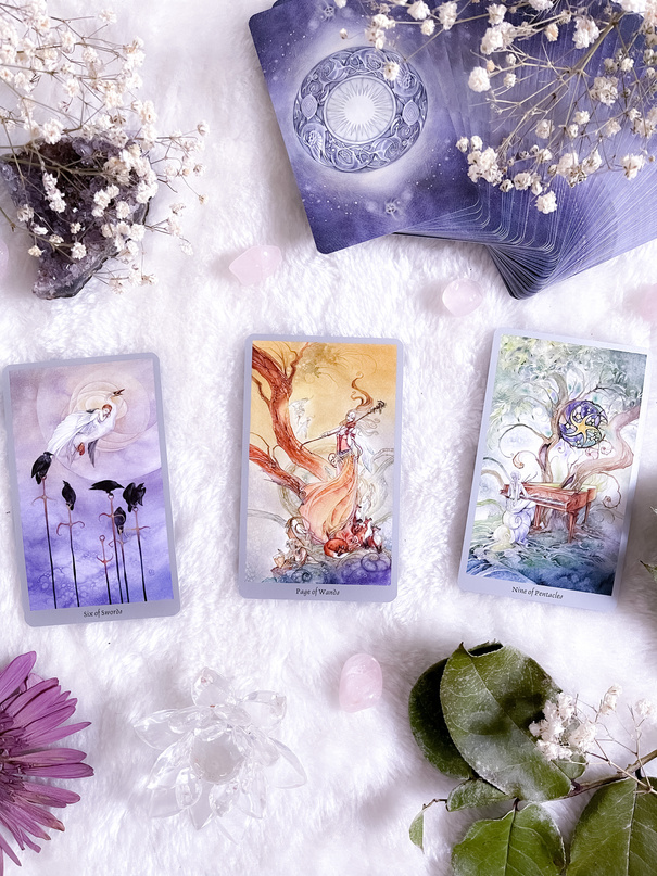 Tarot Cards on a White Surface Surrounded by Green Leaves and Colorful Flowers